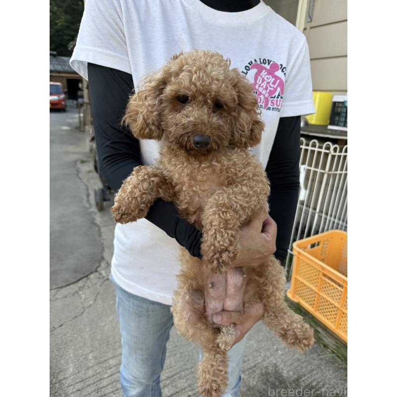 ナルちゃん1枚目