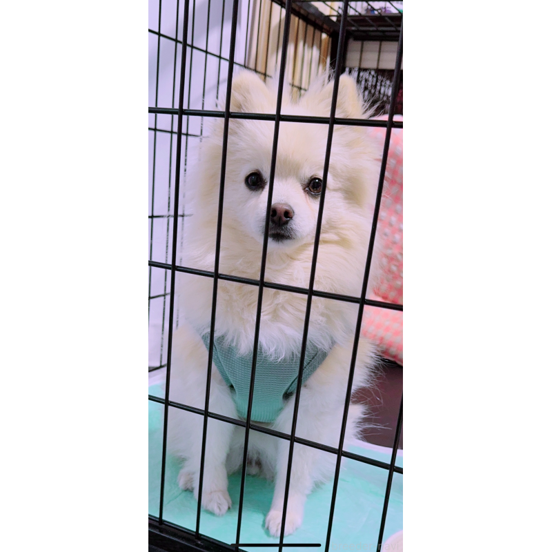 はなちゃん♡ちゃん1枚目