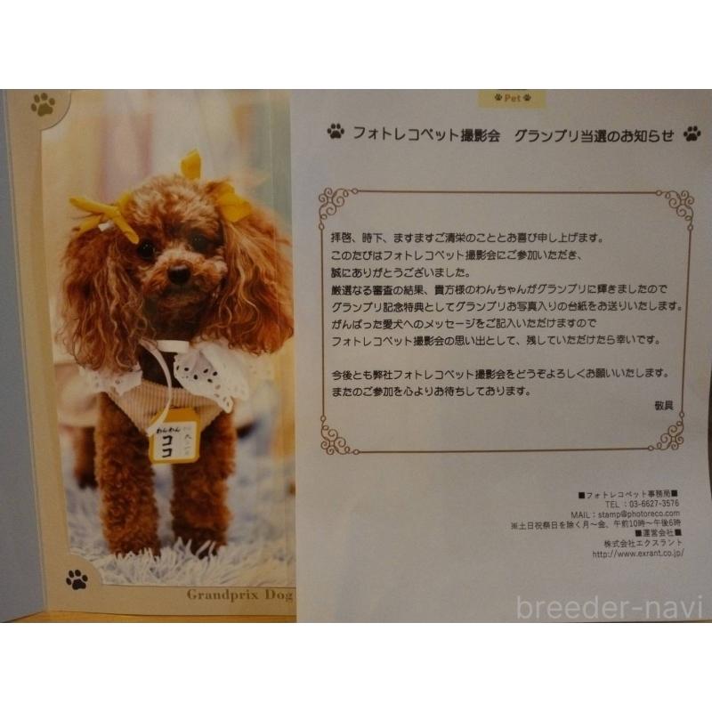 ママちゃん1枚目