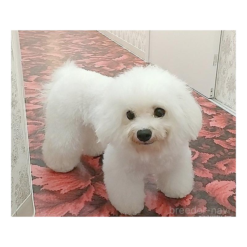 レジーナちゃん1枚目
