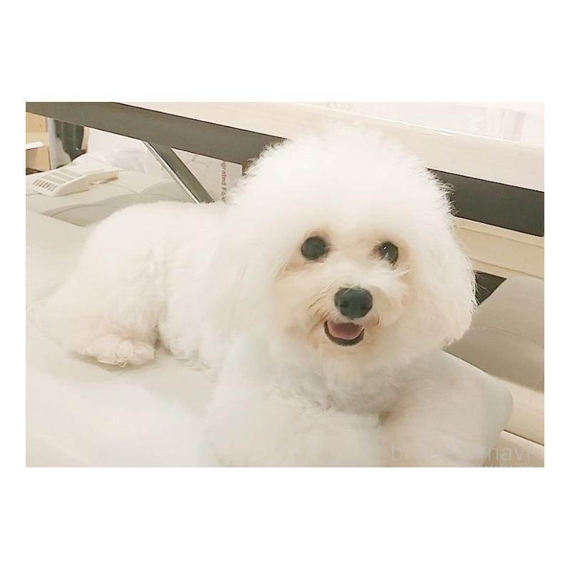 レジーナちゃん1枚目