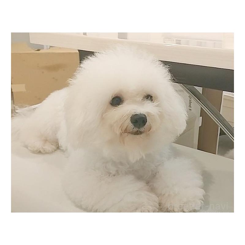レジーナちゃん1枚目