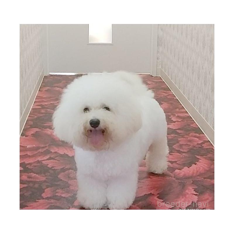 オリビアちゃん1枚目