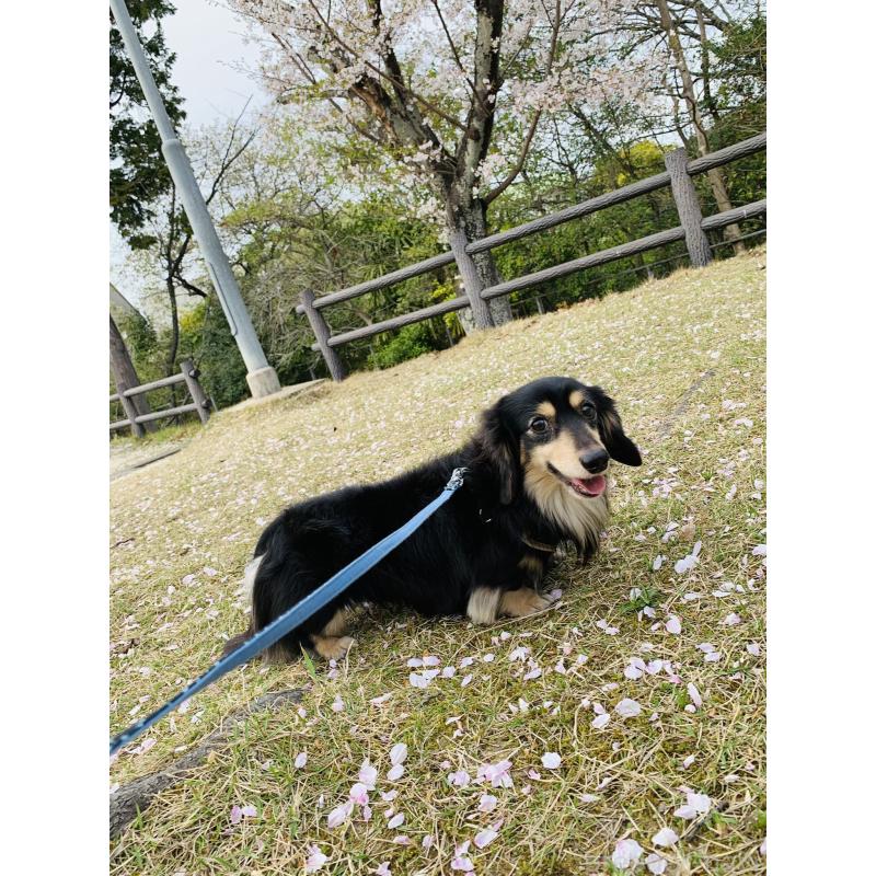 ケンくん1枚目
