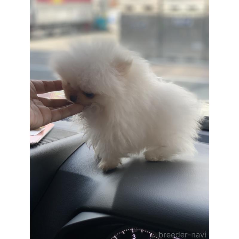 くん1枚目