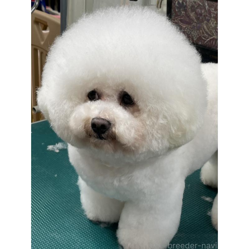 くん1枚目
