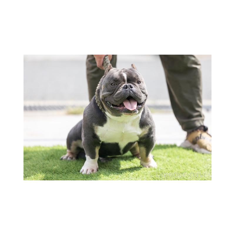 フリーザくん1枚目