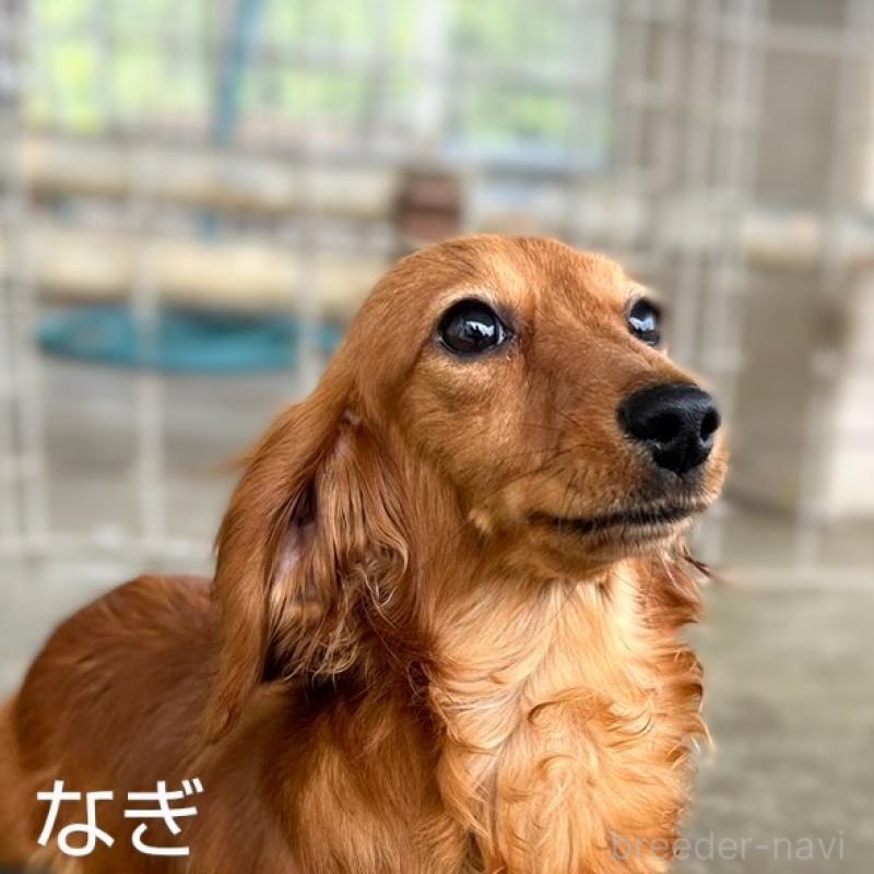 なぎちゃん1枚目