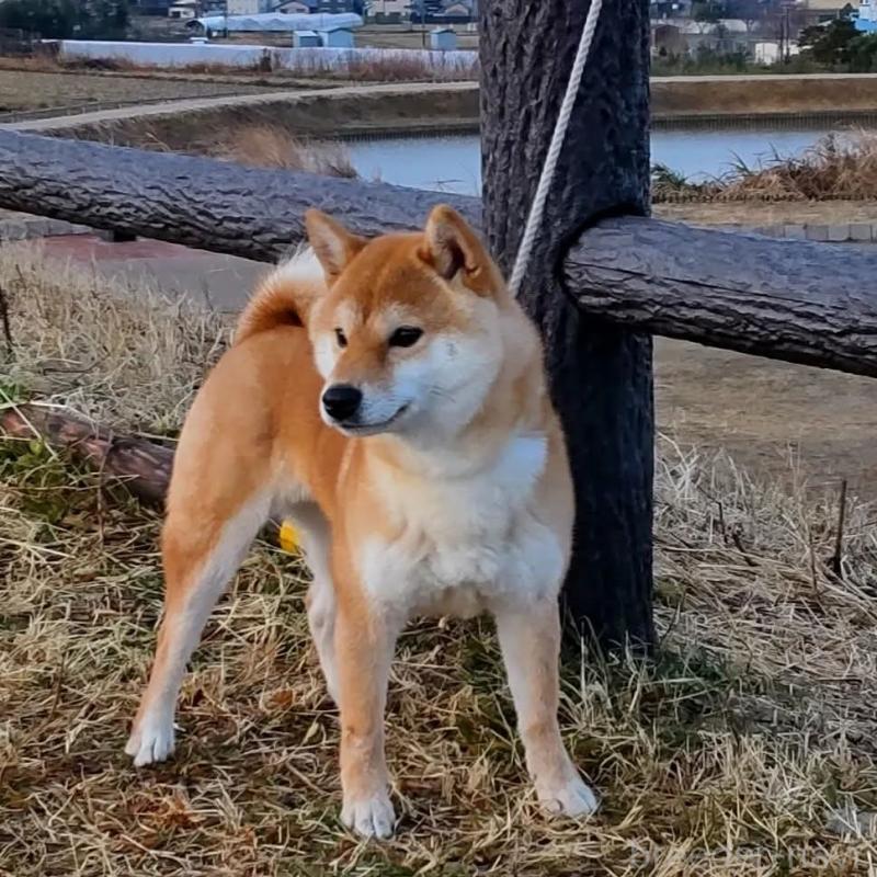 アオちゃんちゃん1枚目