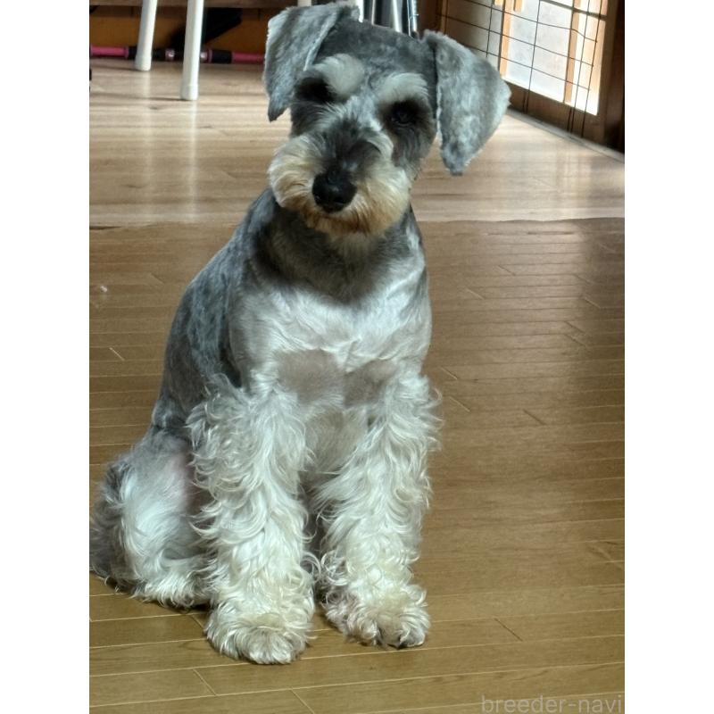 りんちゃん1枚目