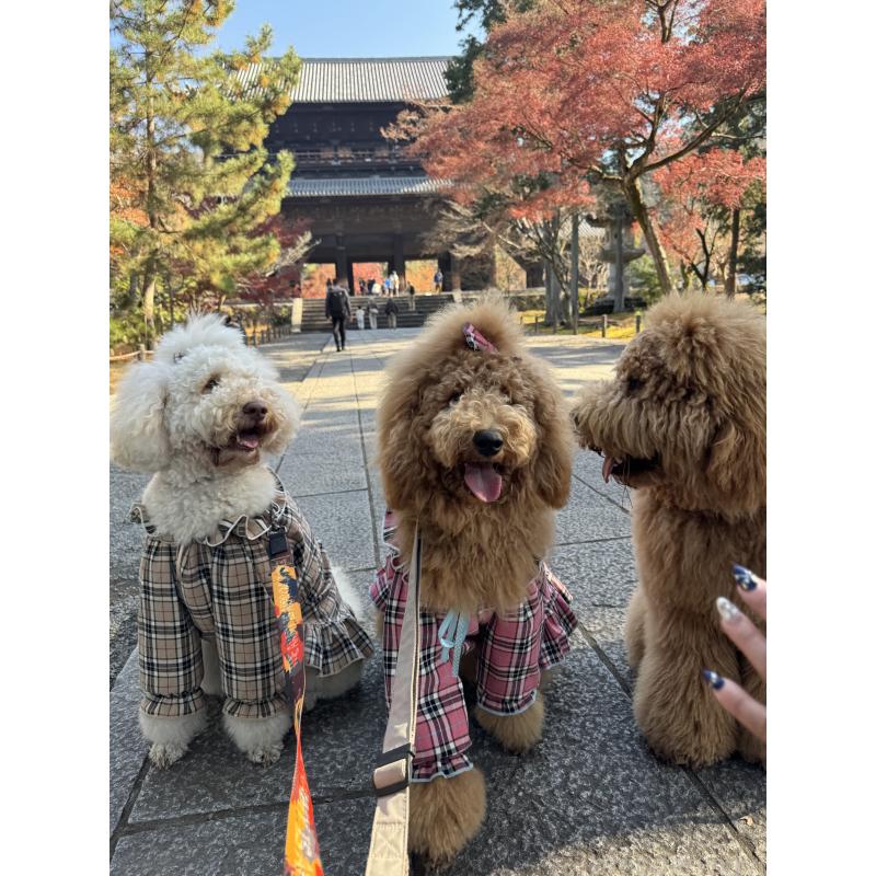 のんちゃん1枚目