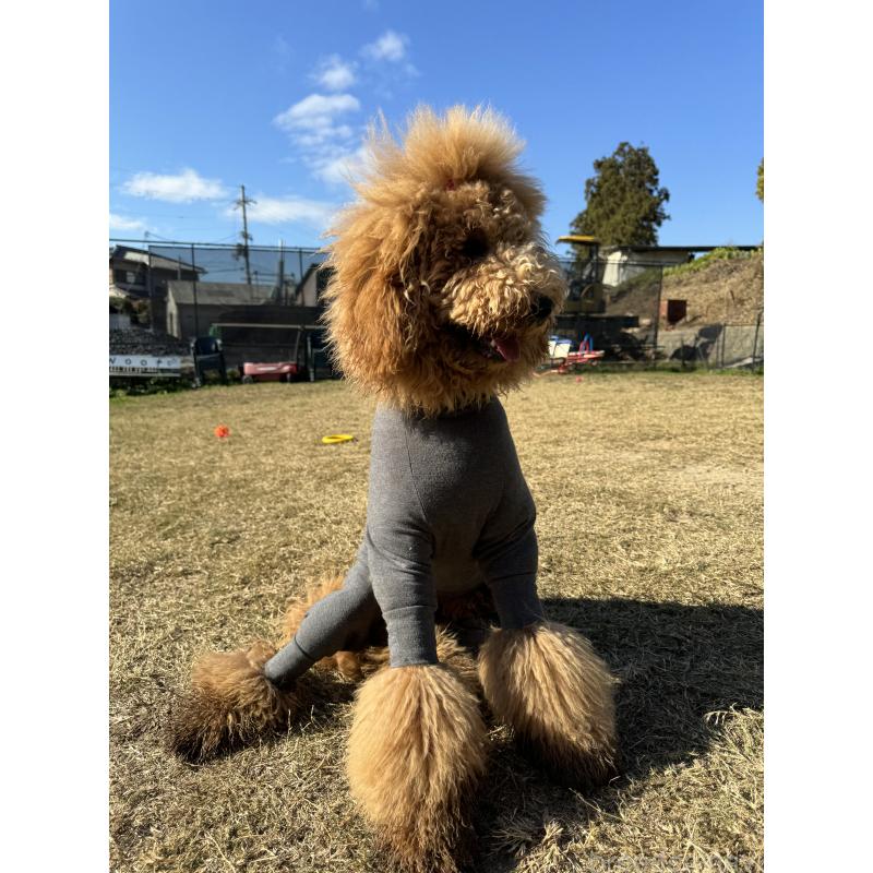 のんちゃん1枚目