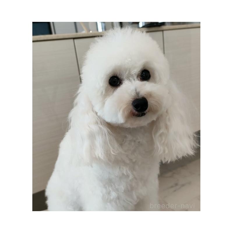 くーちゃん1枚目