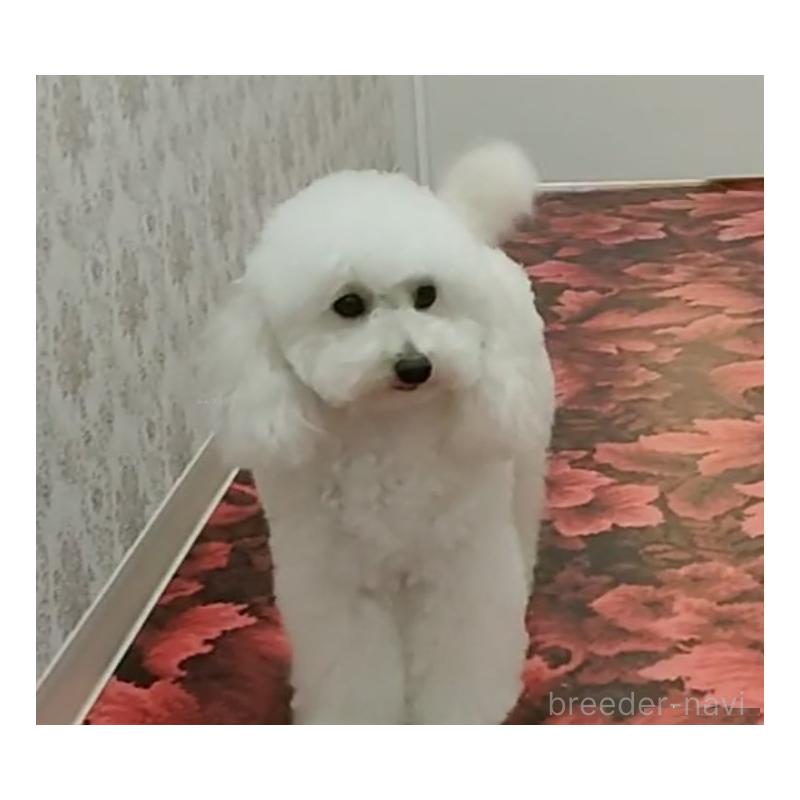 くーちゃん1枚目