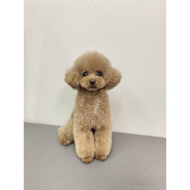 ちゃん1枚目