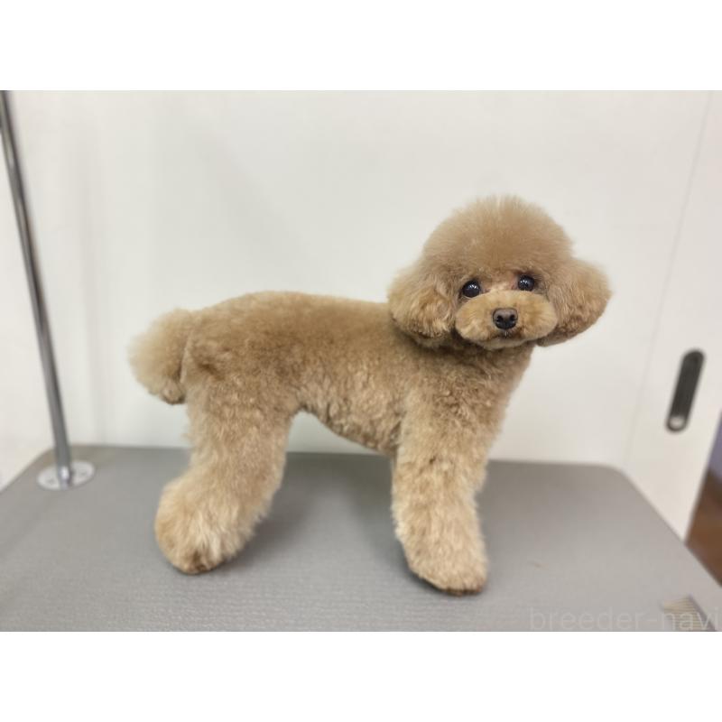 ちゃん1枚目