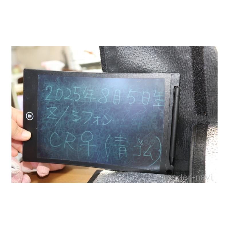 販売中の神奈川県のフレンチブルドッグ-415715の10枚目