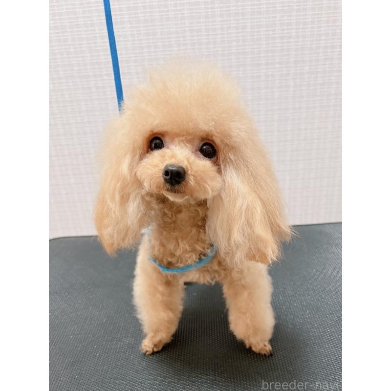 こうめちゃん1枚目