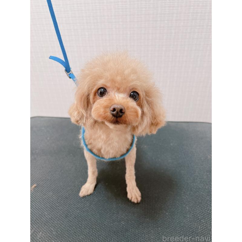 マルコくん1枚目