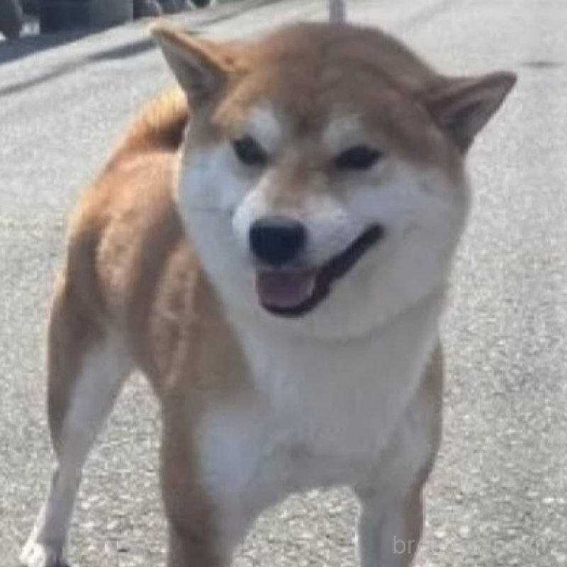 パパ（赤）くん1枚目