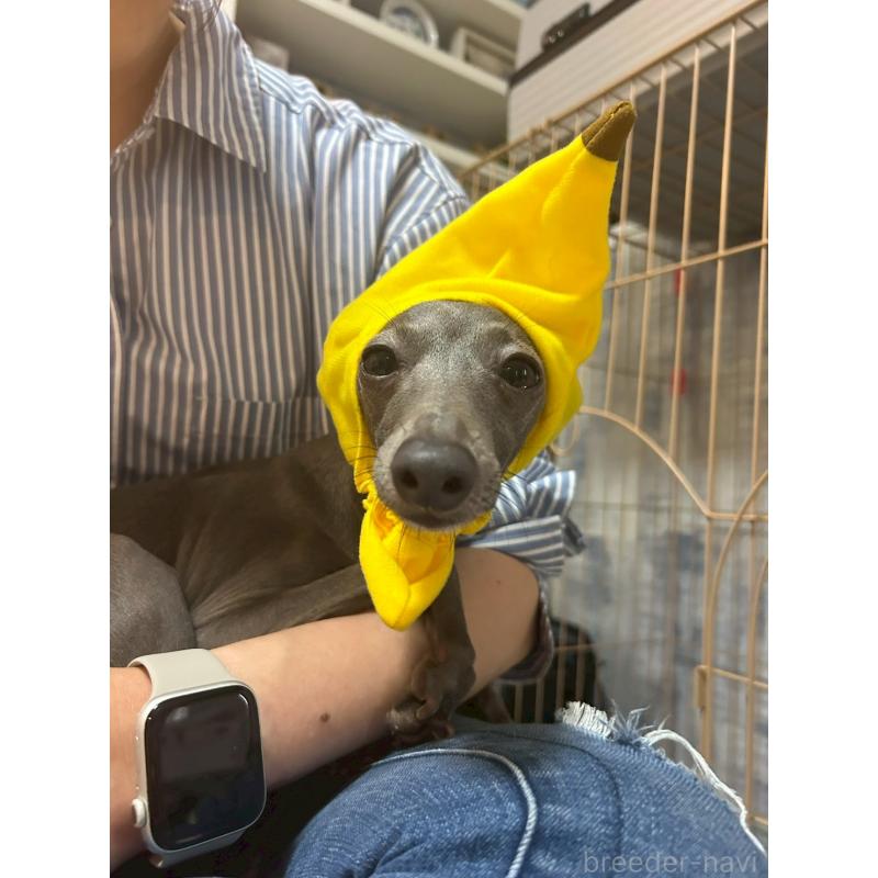 音羽ちゃん1枚目