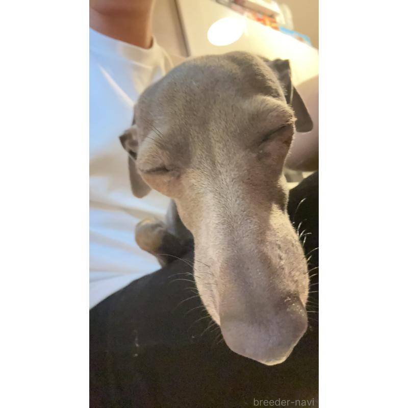 音羽ちゃん1枚目