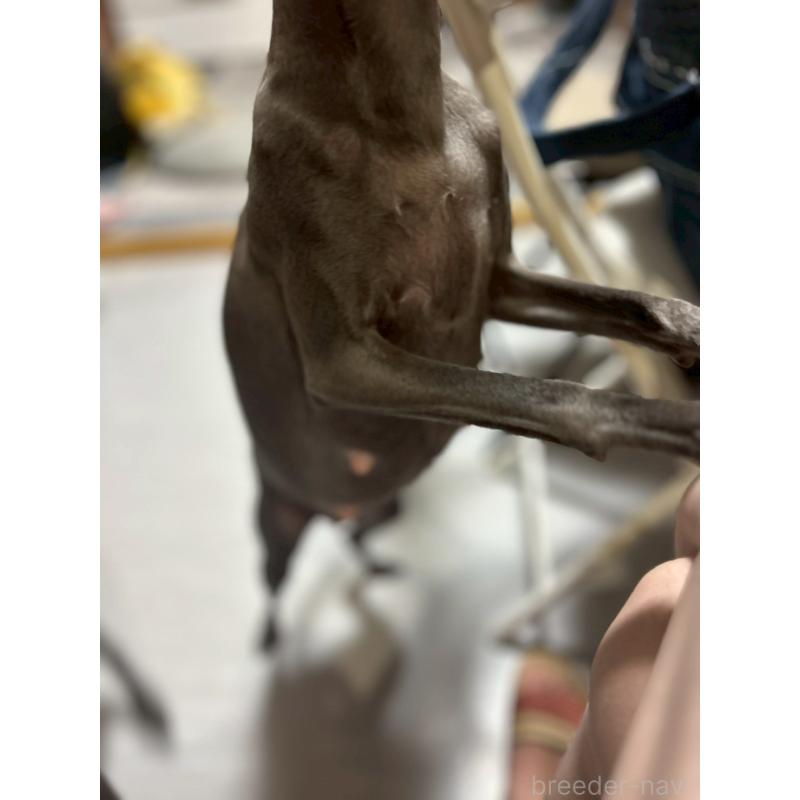 音羽ちゃん1枚目