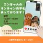 オンライン見学