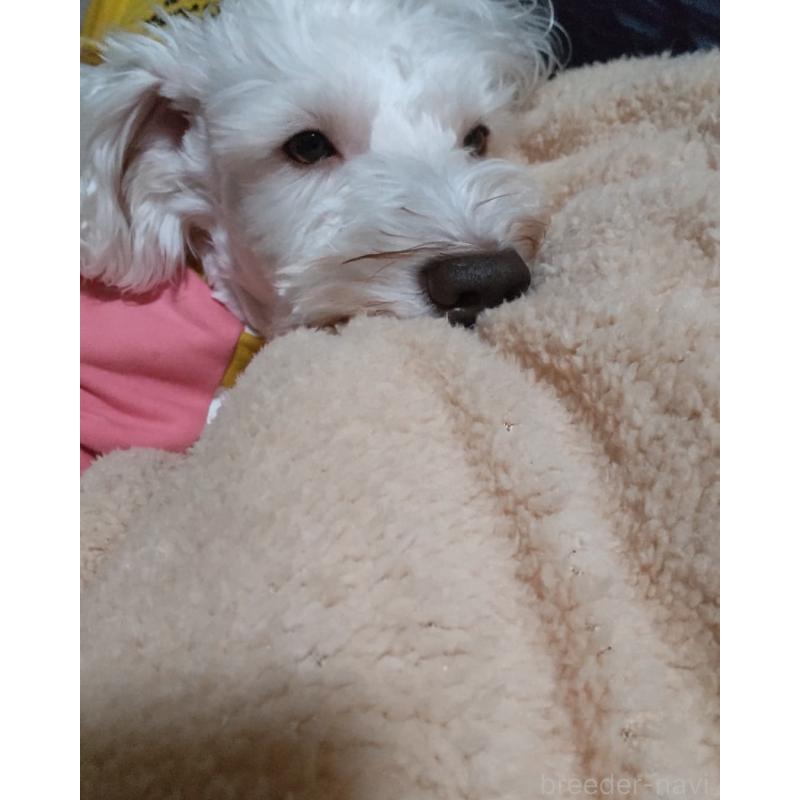 皐月ちゃん1枚目