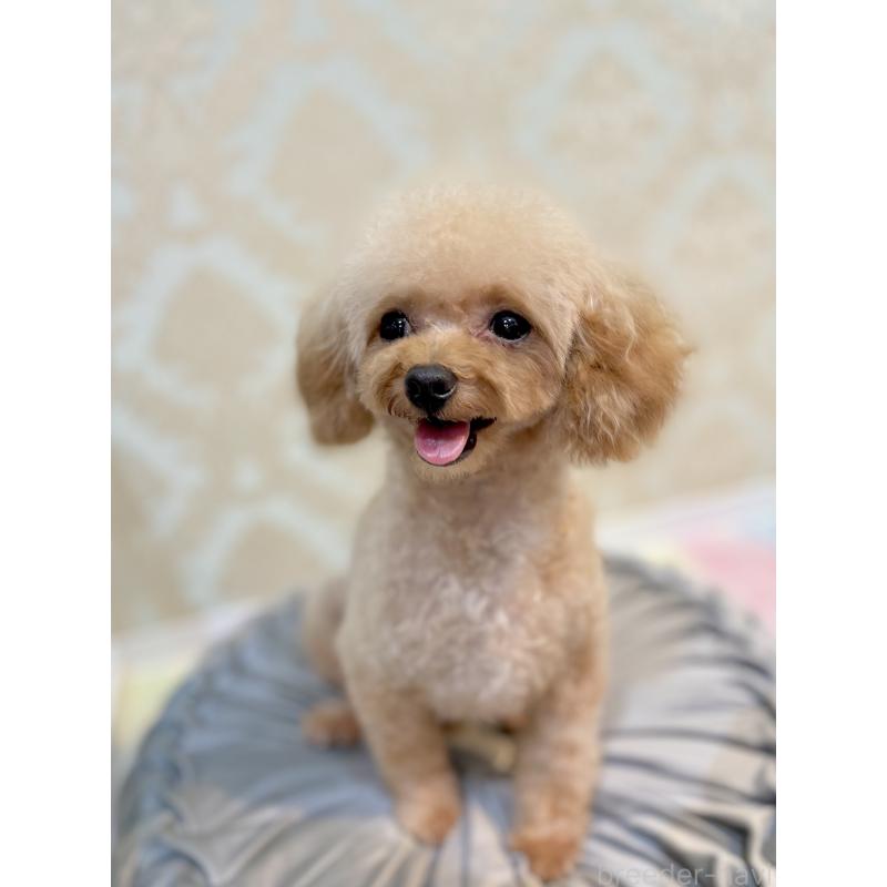 リオちゃんちゃん1枚目