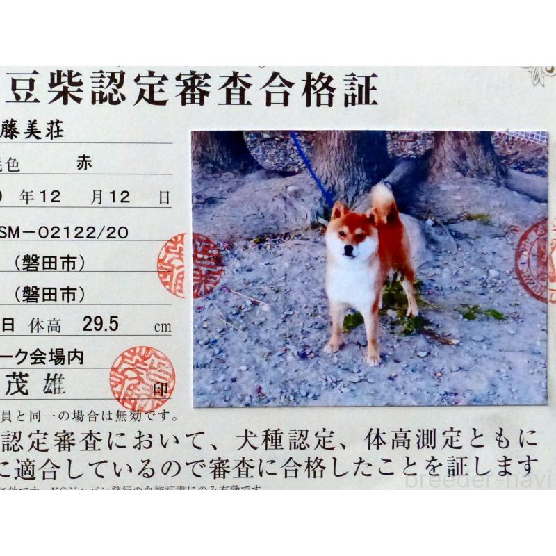 小次郎くん1枚目
