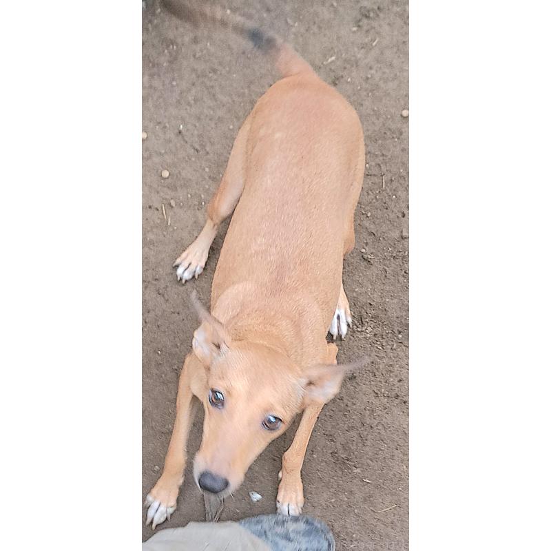 ルナちゃん1枚目