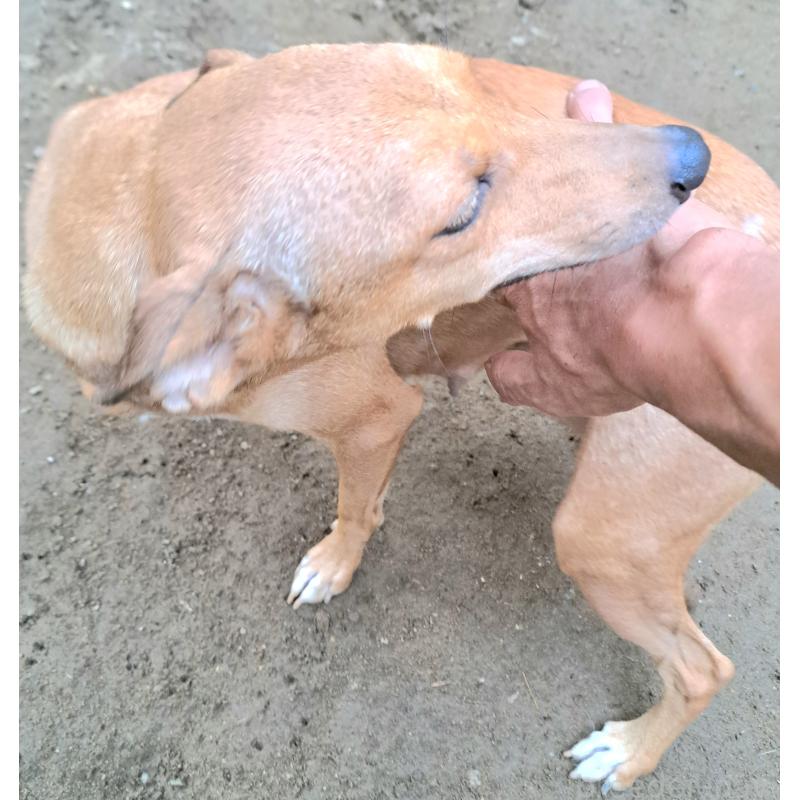 ルナちゃん1枚目