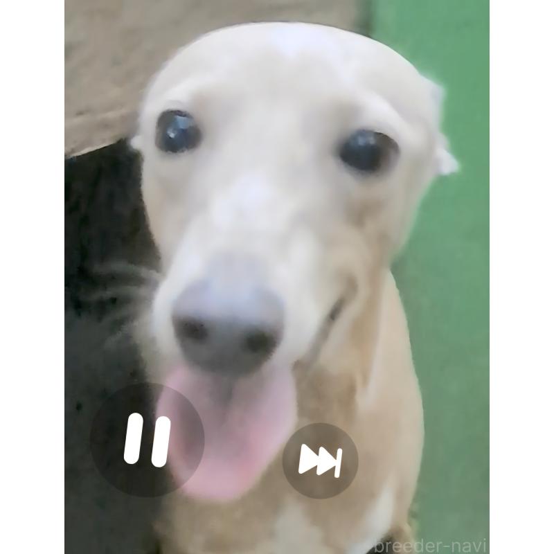 くん1枚目