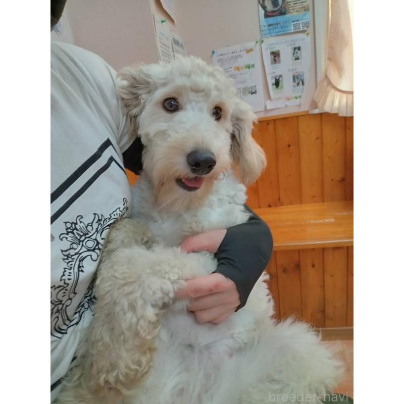 ラトゥールちゃん1枚目