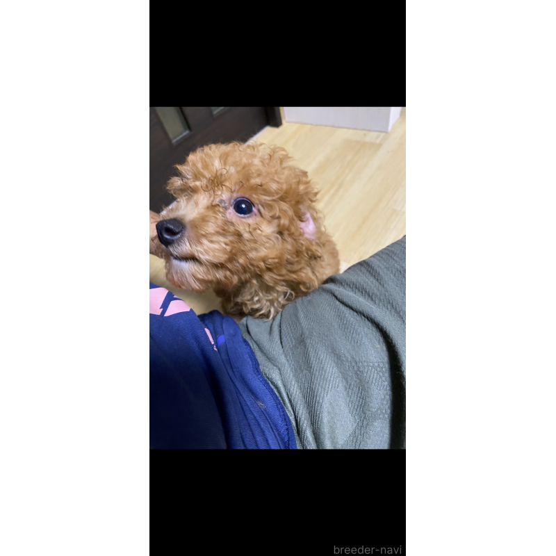 ベルちゃん1枚目