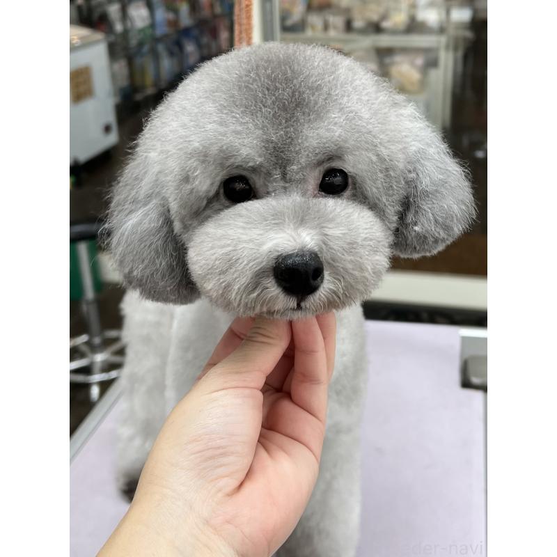 あさりちゃん1枚目