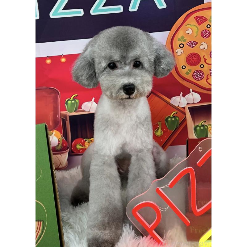 あさりちゃん1枚目