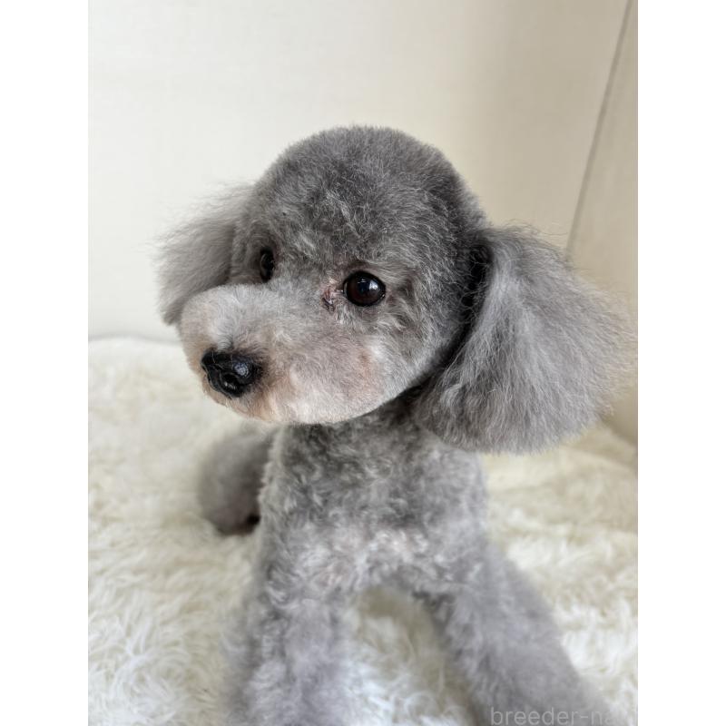 おでんくん1枚目