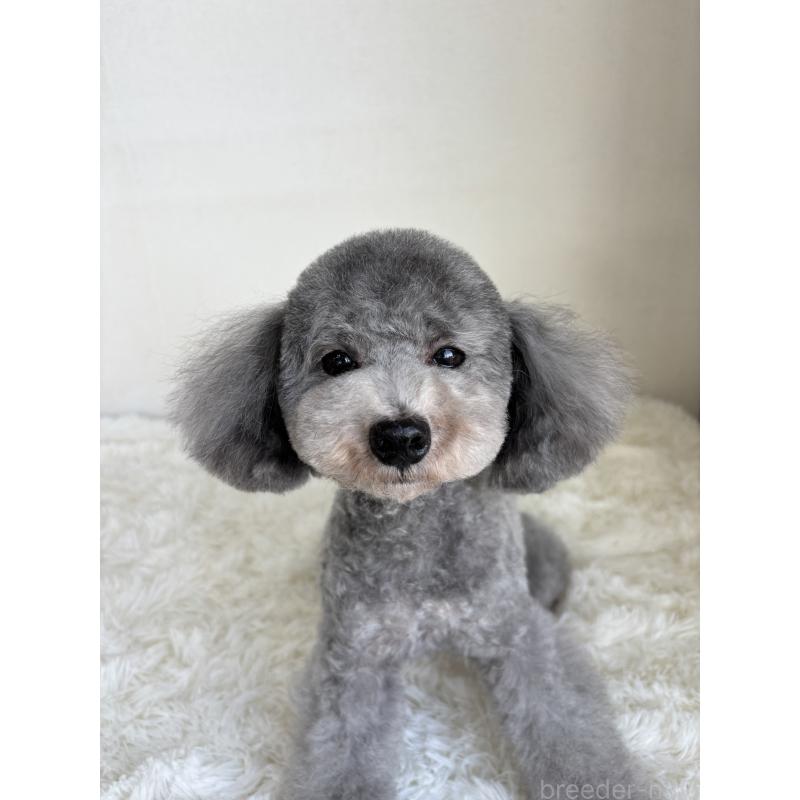 おでんくん1枚目