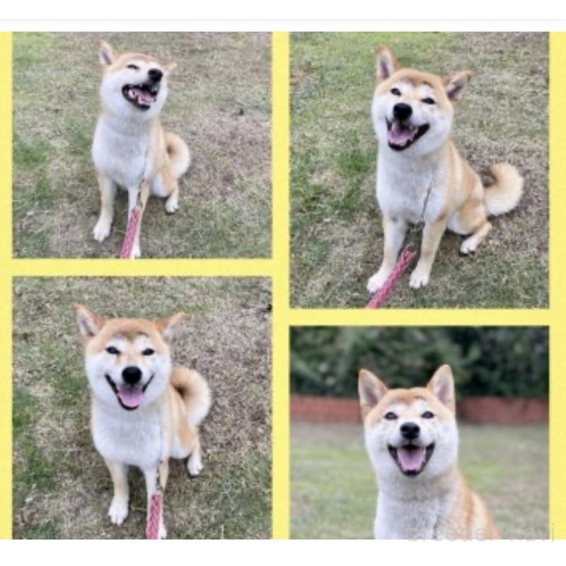 小夏ちゃん1枚目