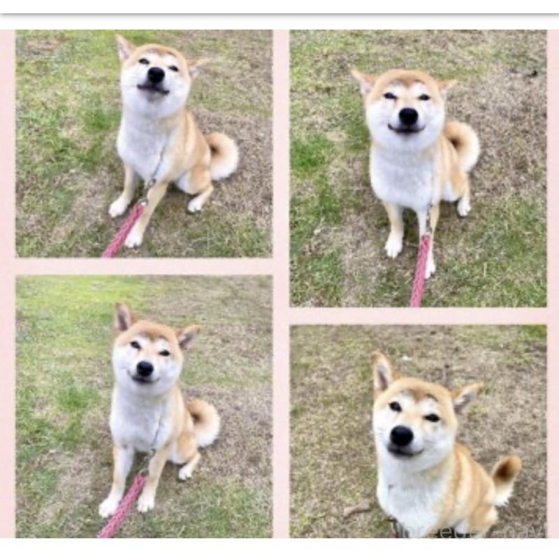小夏ちゃん1枚目
