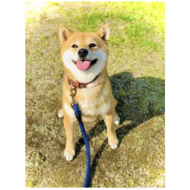 豆一くん1枚目
