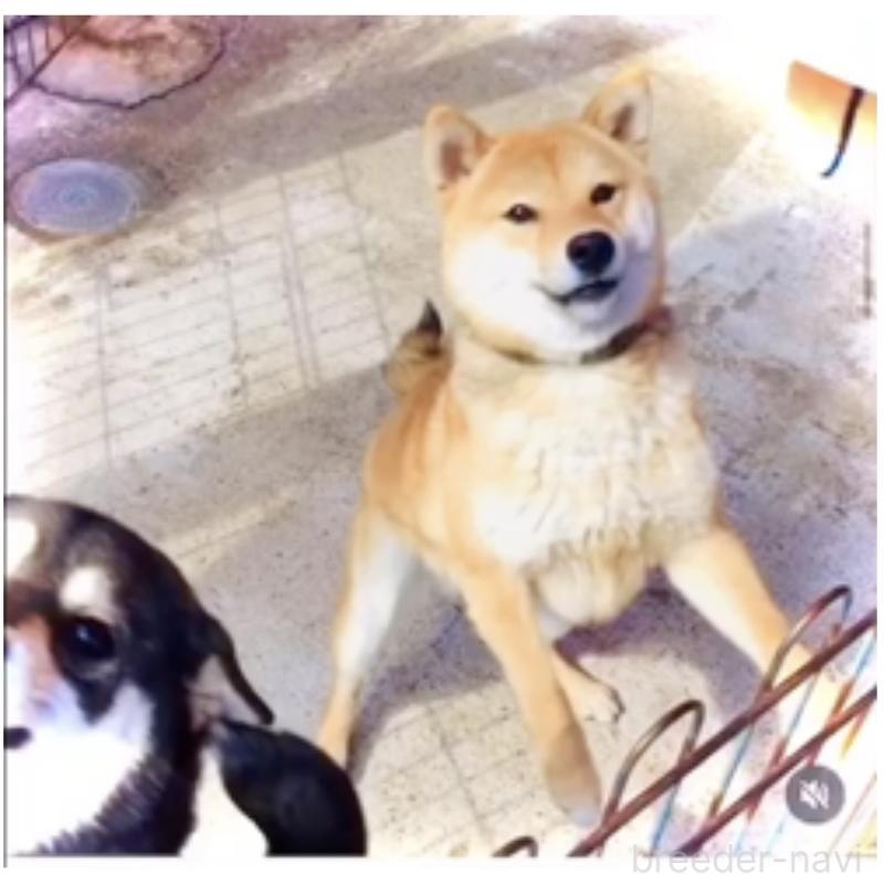 豆一くん1枚目