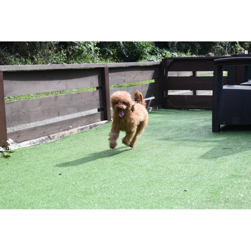 ななみちゃん1枚目