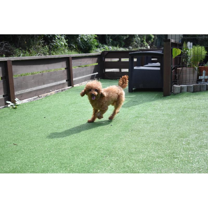 ななみちゃん1枚目