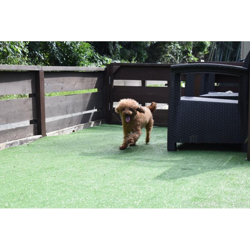 ななみちゃん1枚目