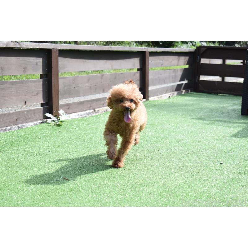 ななみちゃん1枚目