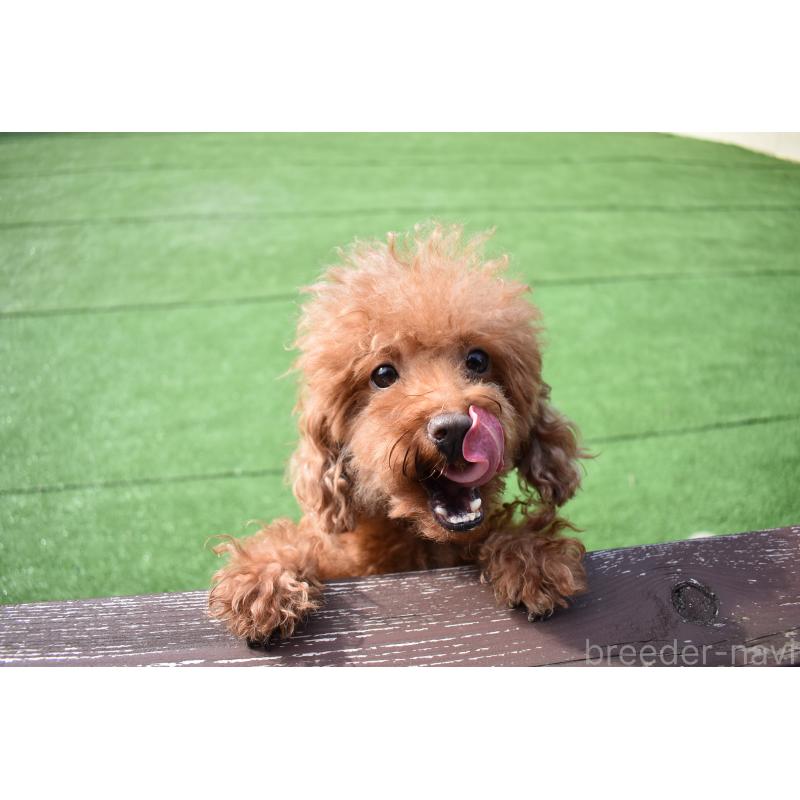 ななみちゃん1枚目