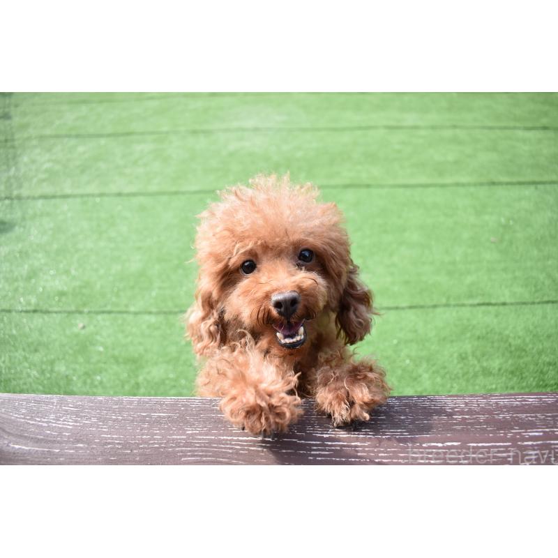 ななみちゃん1枚目